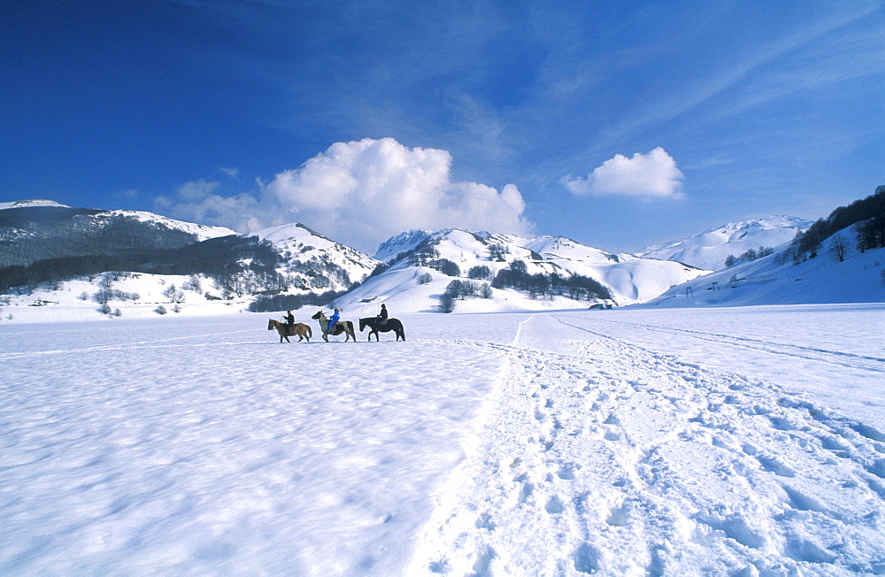Riding on horseback, Campitello Matese mountain, Campobasso, Molise, Italy.