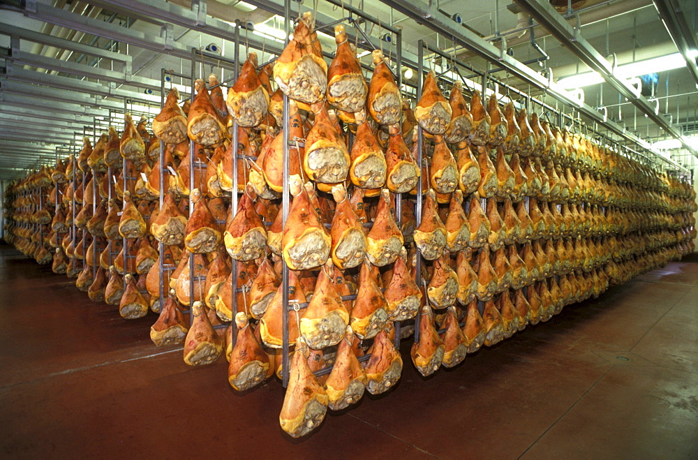 Preparation of ham, Prosciuttificio Unibon, Langhirano, Emilia Romagna, Italy