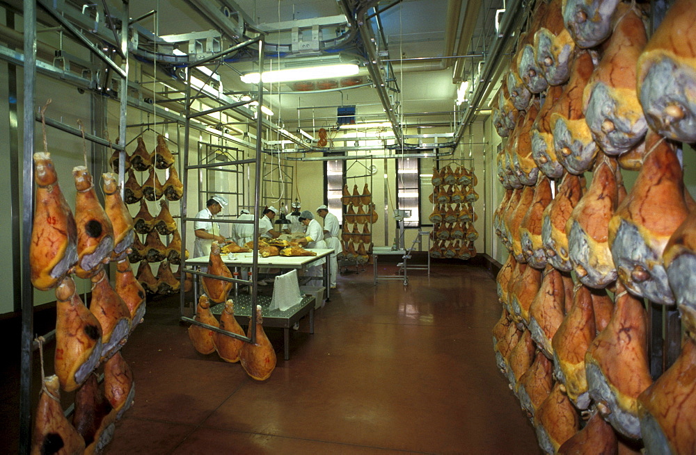 Preparation of ham, Prosciuttificio Unibon, Langhirano, Emilia Romagna, Italy