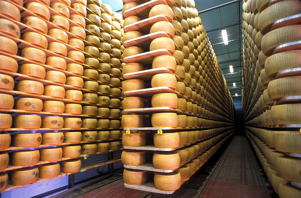 Maturing of Parmiggiano Reggiano cheese, Hombre dairy, Cittanove, Emilia Romagna, Italy