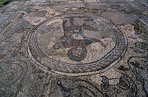 Mosaic of a Roman villa, Aquileia, Friuli Venezia Giulia, Italy 