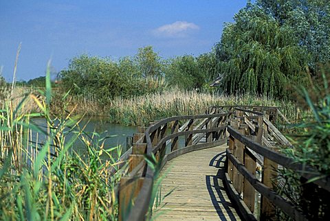 Natural reserve of the mouth of Stella river, Marano Lagunare, Friuli Venezia Giulia, Italy 