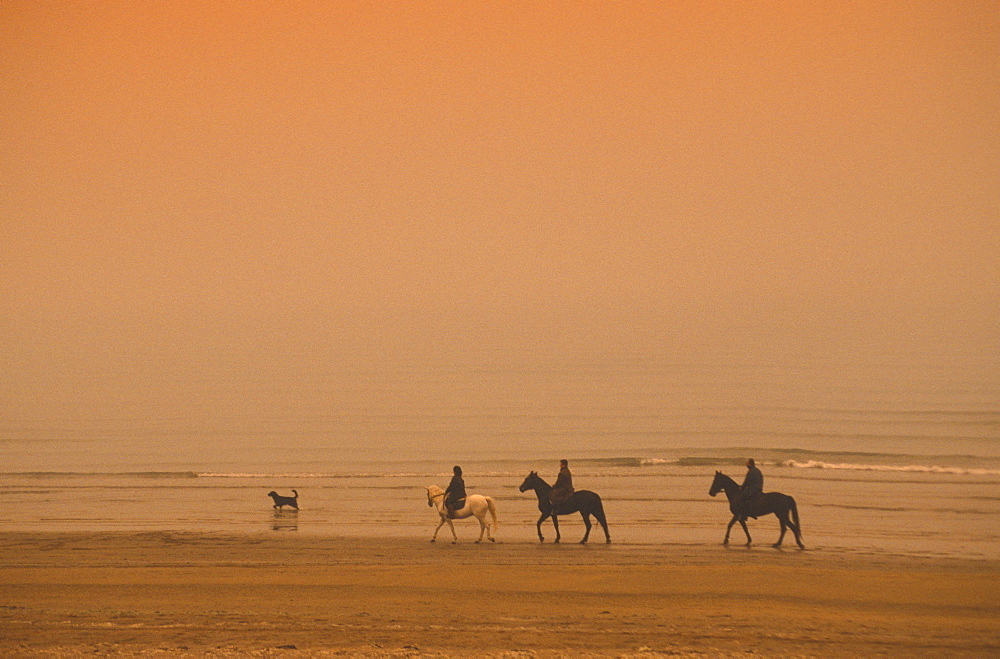 Riding on horseback, Silos riding school, Lignano Sabbiadoro, Friuli Venezia Giulia, Italy