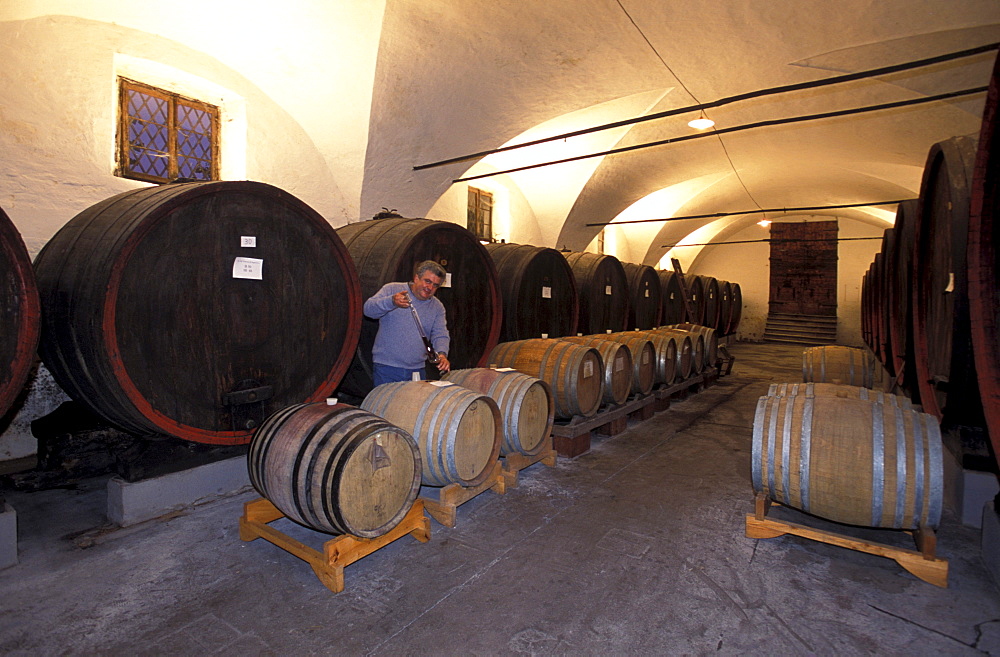 Cellar, Dominio Widmann farm, Bagnoli, Veneto, Italy