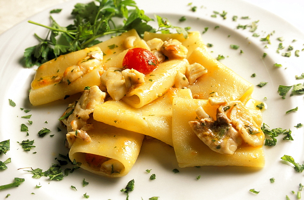 Paccheri with gurnard, Ippogrifo restaurant, Genoa, Ligury, Italy 