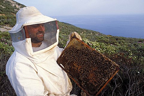 Maurizio Anichini beekeeper, Castello, Isola Del Giglio, Toscana, Tuscany, Italy