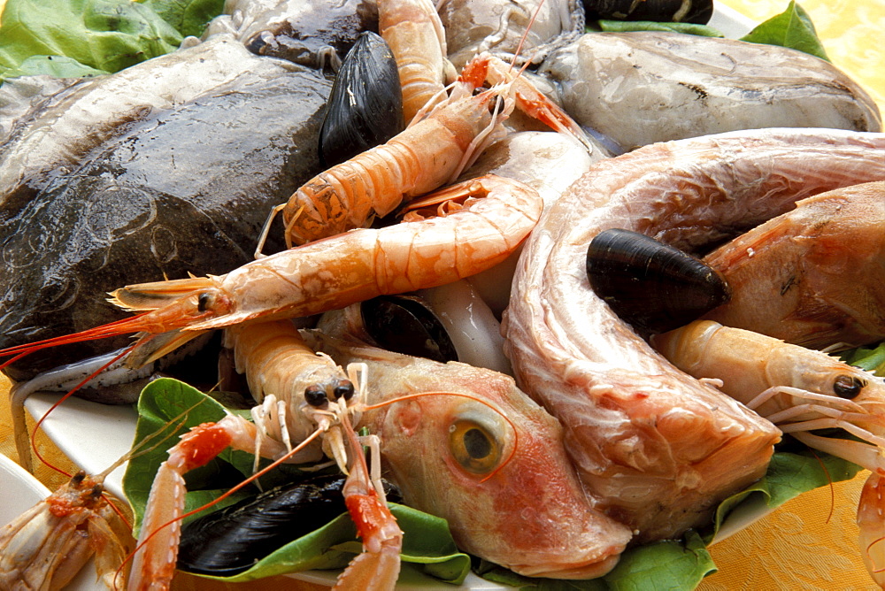 Fish for cacciucco soup, Typical Italian food, La Barcarola Restaurant, Livorno, Tuscany, Italy