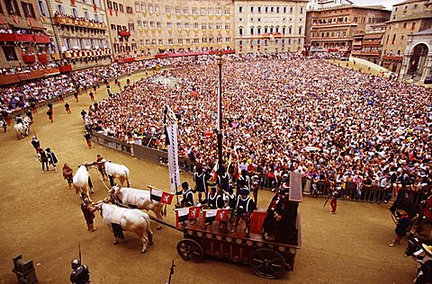 Piazza del Campo during the historical parade preceeding the Palio, Siena, Tuscany, Italy 