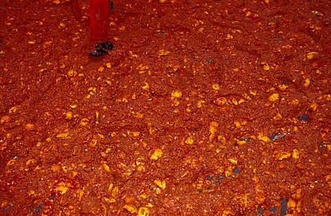 The square after the battle, Traditional carnival, Ivrea, Piedmont, Italy