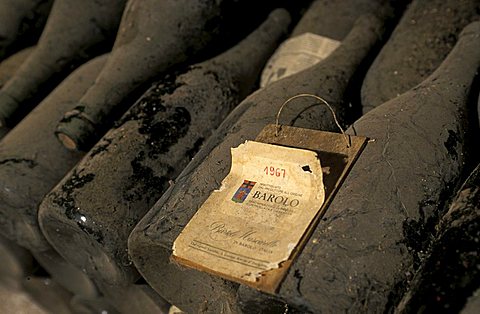Old bottles, Mascarello cellar, Barolo, Piedmont, Italy.
