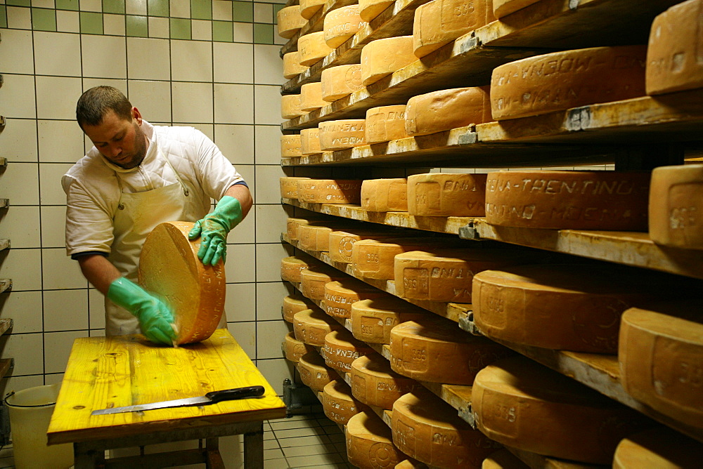 Puzzone cheese, Moena, Trentino Alto Adige, Italy