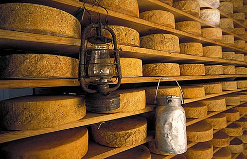Cheese storage, Malga Casello, Brentonico, Trentino Alto Adige, Italy
