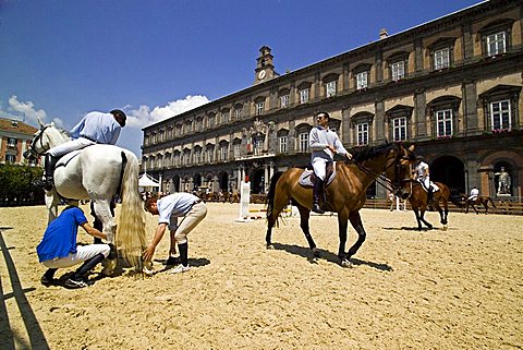 Riding Show "Piazza del Plebiscito", Naples, Campania, Italy