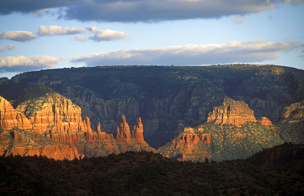 Red Rock State Park, Sedona, Arizona, United States of America, North America