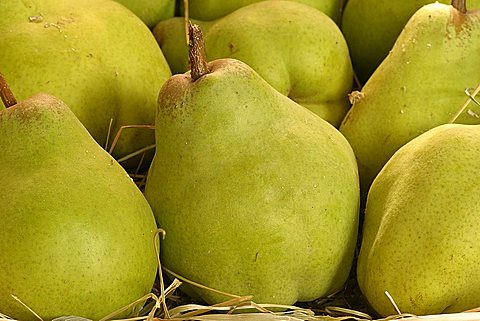 Butirra d'Hardenpoint pear, Italy
