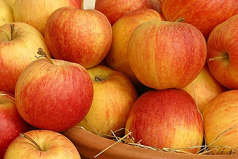 Apples "Royal Gala", Italy