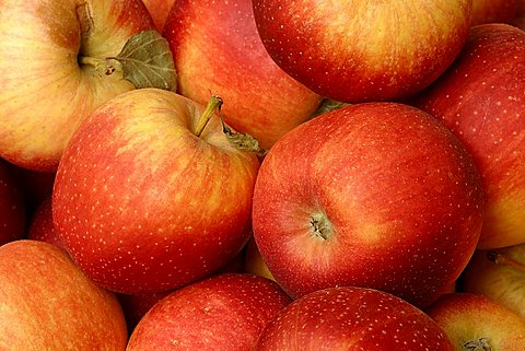 Apples "Mondial Gala", Italy
