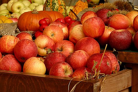 Apples, Italy