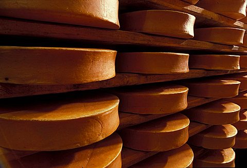 Fontina cheese, Gressoney, Valle d'Aosta, Italy