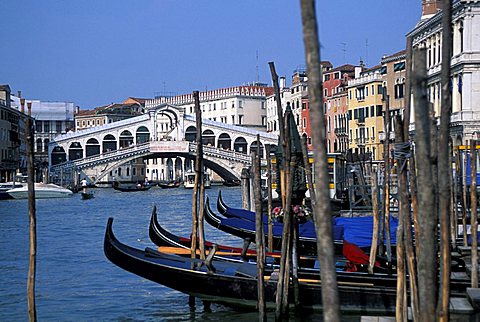 Rialto bridge, Venice, Veneto, Italy