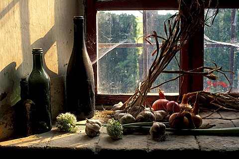 Garlic and onions, Monferrato, Piedmont, Italy.