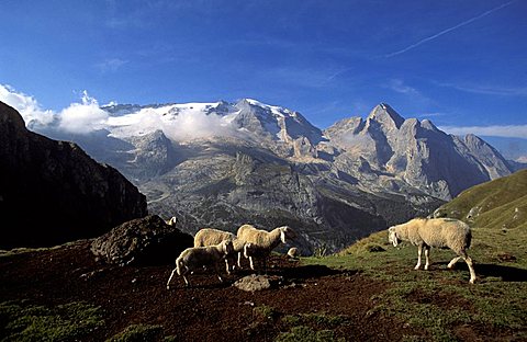 Marmolada mountain chain, Trentino Alto Adige, Italy