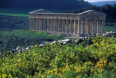 Temple, Segesta, Sicily, Italy