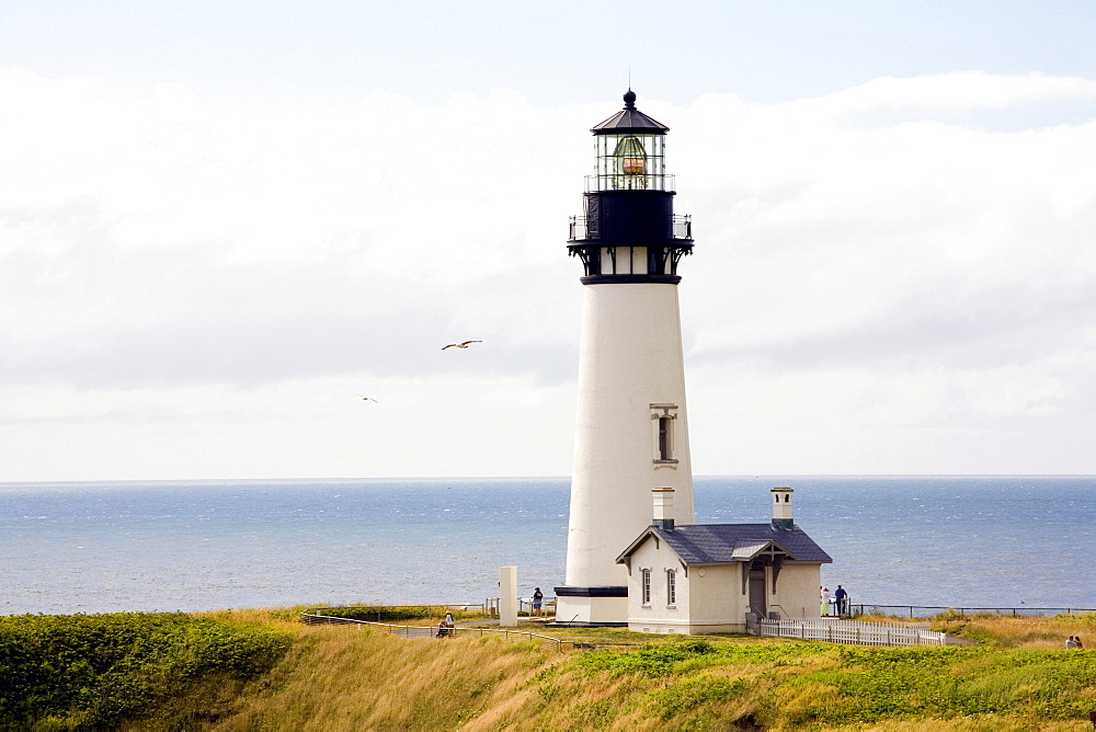 Yaquina Head Lighthouse, Oregon Coast, United States of America (U.S.A.), North America 