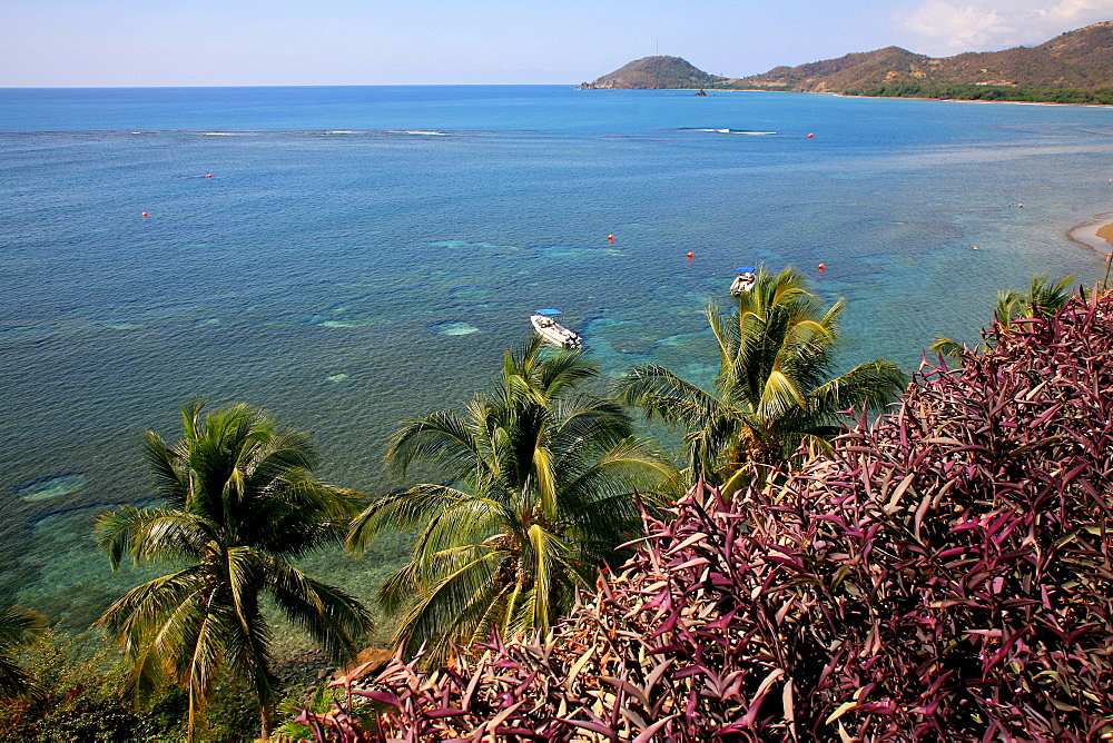 Beach, Brisas Sierra Mar hotel, South Coast, Playa Las Coloradas, Cuba island, West Indies, Central America