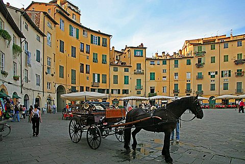 Piazza del Mercato, Lucca, Tuscany, Italy, Europe