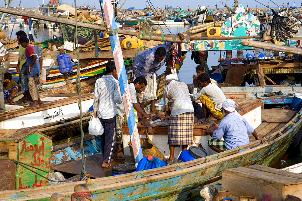 Fish market, Al Hodeidah, Yemen, Middle East  