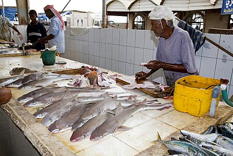Fish market, Al Mukalla, Yemen, Middle East  