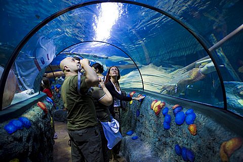 Gardaland Sea Life Aquarium, Castelnuovo del Garda, Veneto, Italy