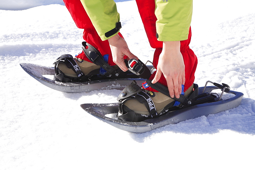 Snowshoes, Livigno, Lombardy, Italy