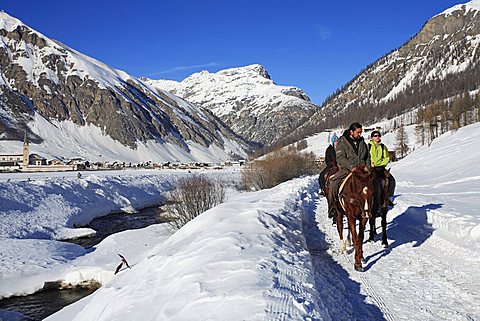 Excursion with horse, Livigno, Lombardy, Italy