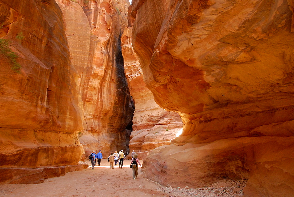 As Siq gorge, Entrance of Petra, Petra, Jordan, Middle East