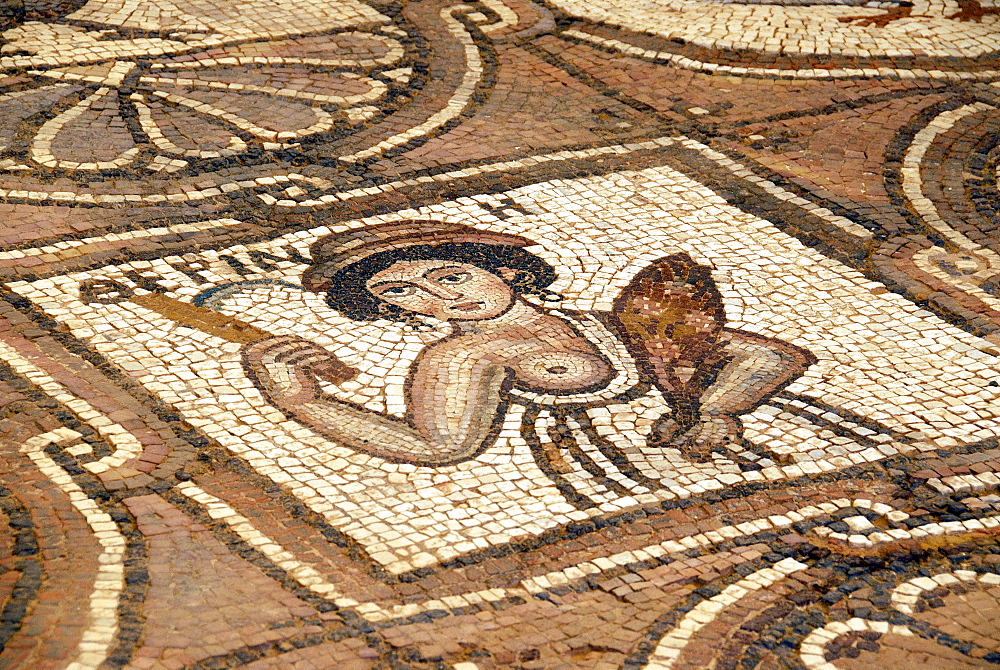 Mosaics in the Byzantine church, Archaeological site of Petra, Jordan, Middle East