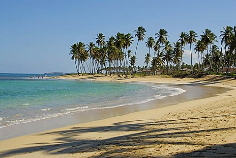 Landscape, Punta Cana, Dominican Republic, West Indies, Central America