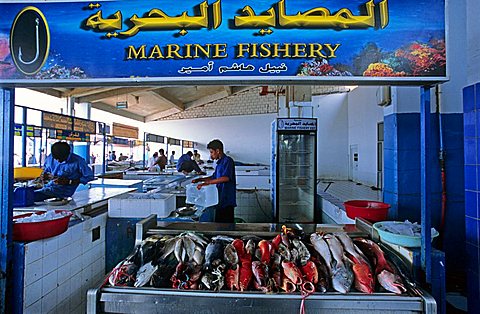 Fish market, Jeddah, Saudi Arabia, Middle East