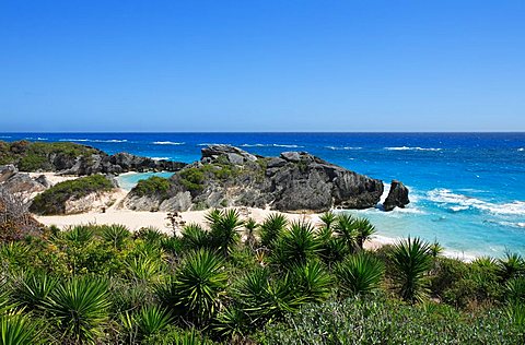 Horseshoe Bay, Bermuda, Atlantic Ocean, Central America