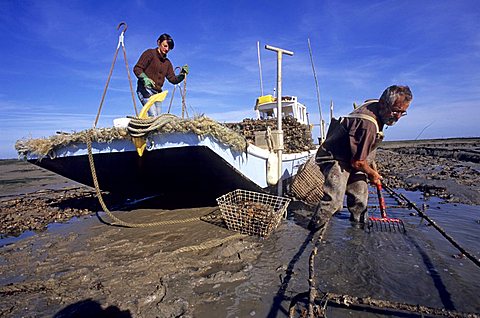 Fisherman, Island of Oleron, Charente-Maritime, France, Europe 