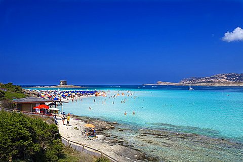 Pelosa beach, Stintino, Sardinia, Italy, Europe