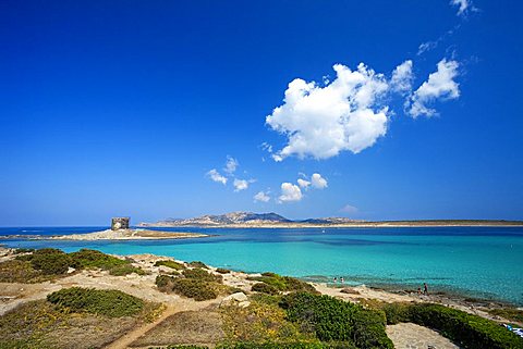 Pelosa beach, Stintino, Sardinia, Italy, Europe