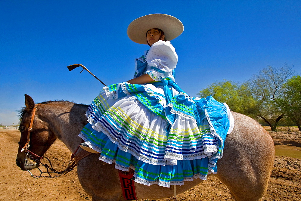 Rodeo, Buckeye, Maricopa County, Arizona, United States of America, North America 