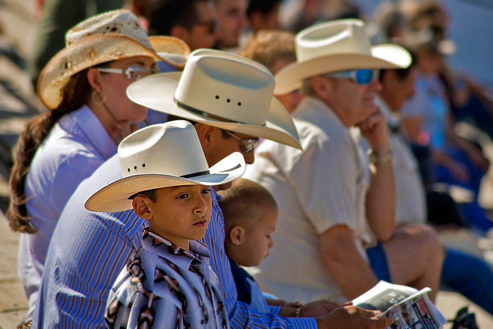 Rodeo, Buckeye, Maricopa County, Arizona, United States of America, North America 