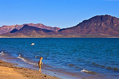 San Carlos, Sonora State, Mexico, Central America