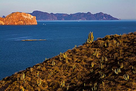 San Carlos, Sonora State, Mexico, Central America