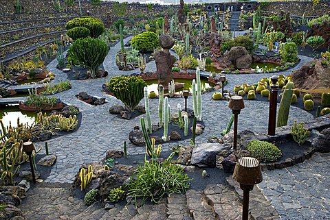 Cactus garden desgned by Cesar Manrique, Guatiza, Lanzarote, Canary Islands, Spain