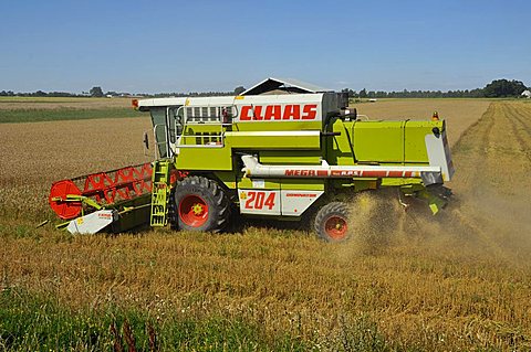 Combine harvester, Italy