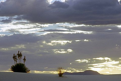 White Sands, New Mexico, USA